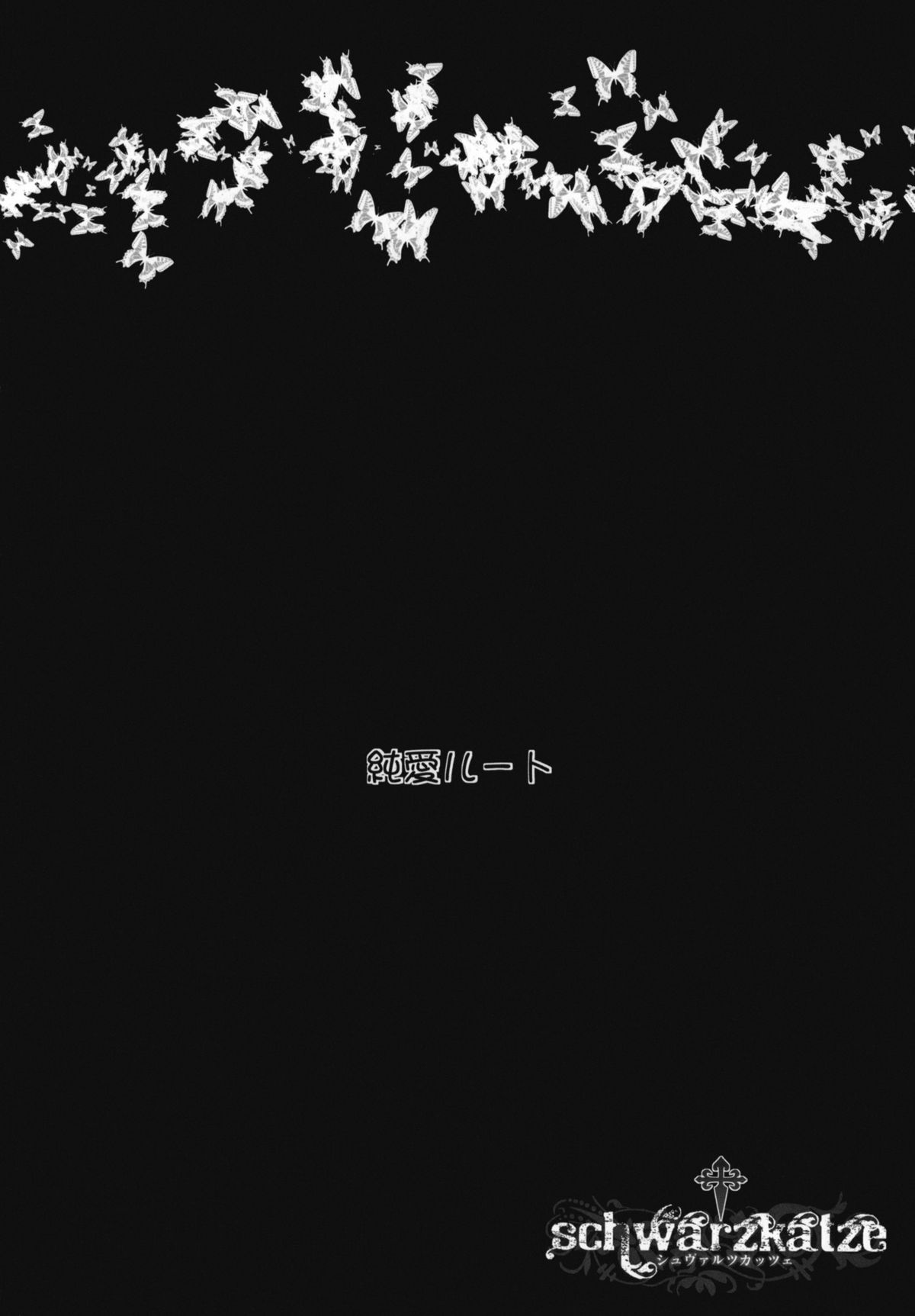 schwarzkatze page 3 full