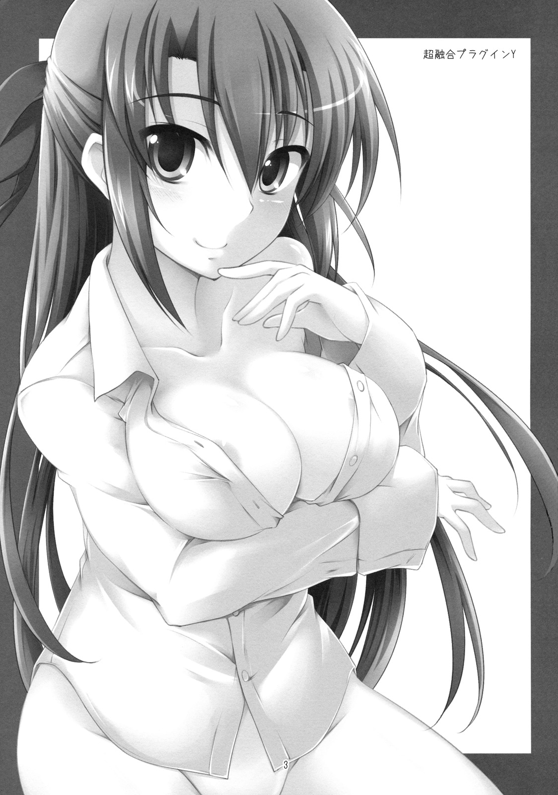 Super Fusion Plug-in Y page 2 full