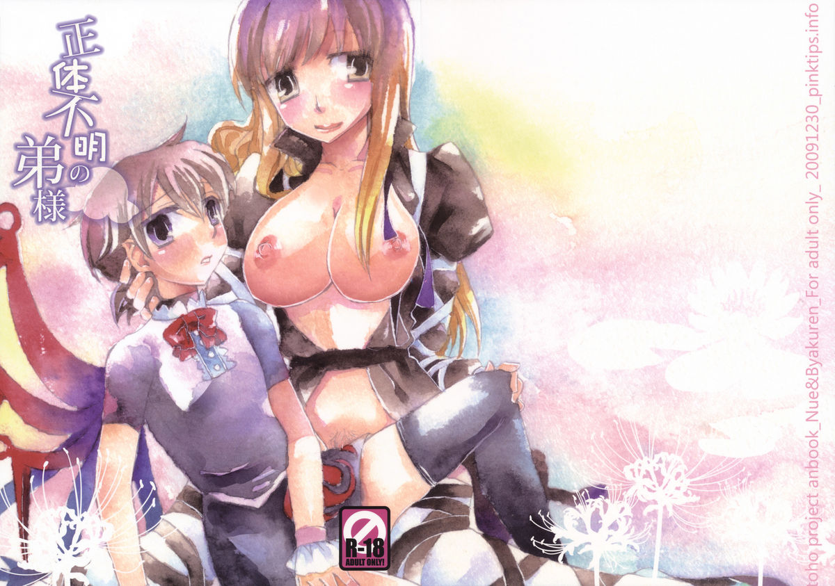 Shoutai Fumei no Otouto-sama page 1 full