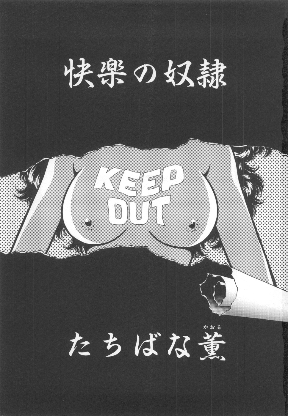 Kairaku no Dorei page 3 full