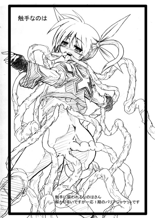 Nanoha no Erohon page 2 full