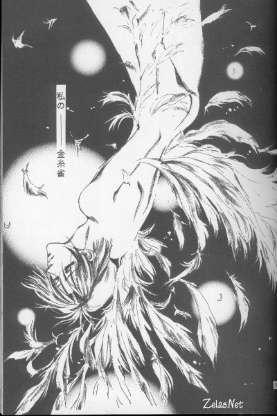 Kinshijaku ENIGMA Seikon page 8 full