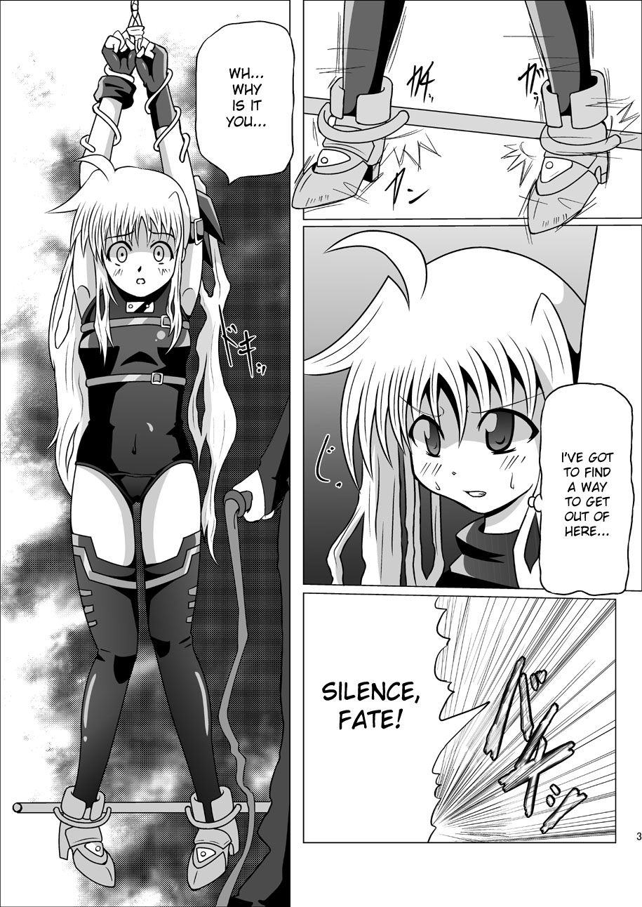 Kurenai no Syo -Fate hen- | The Crimson Book ~Fate side~ page 3 full
