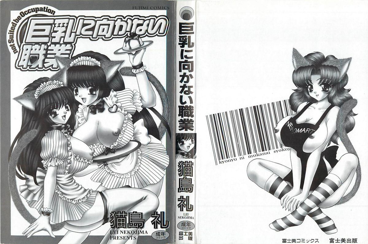 Kyonyuu ni Mukanai Shokugyou - not Suited be Occupation page 2 full