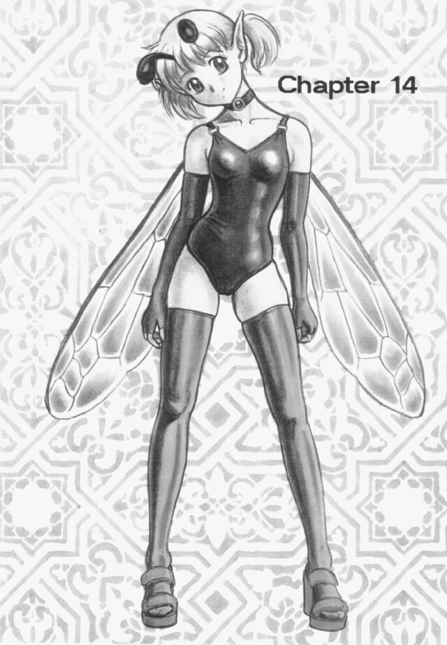 Bondage Fairies Extreme Issue 14 page 3 full