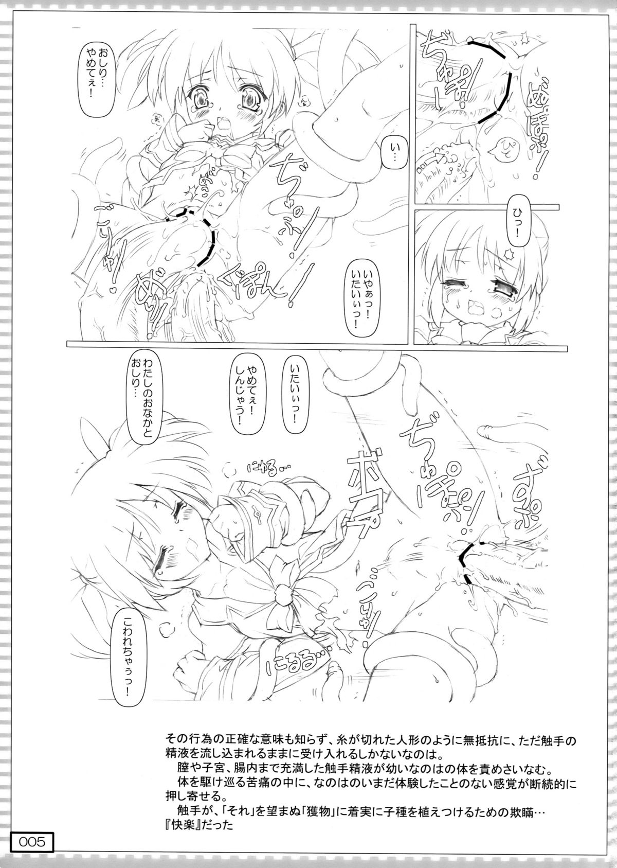 nanO RAISER page 5 full
