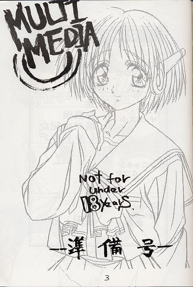 MULTIMEDIA page 2 full