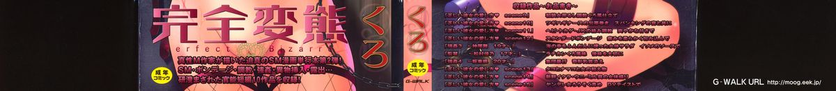 Tadashii Kanojo no Aishikata Perfect Bizarre page 3 full