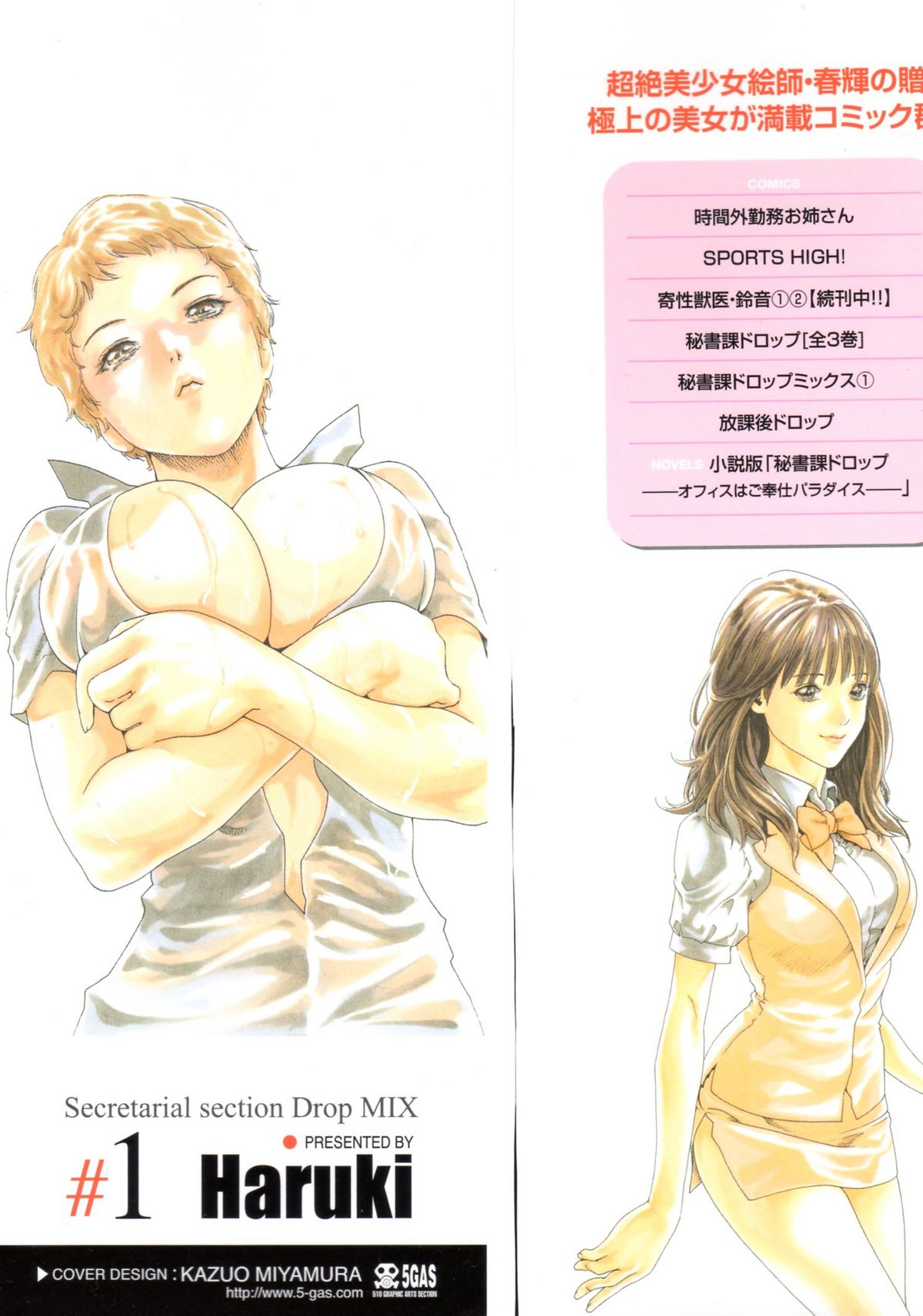 Hishoka Drop MIX -  Secretarial Section Drop MIX 1 page 3 full