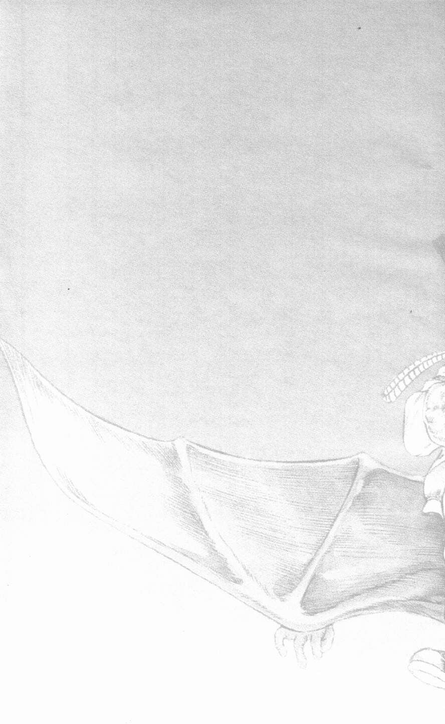 Urotsukidoji Vol.2 page 2 full