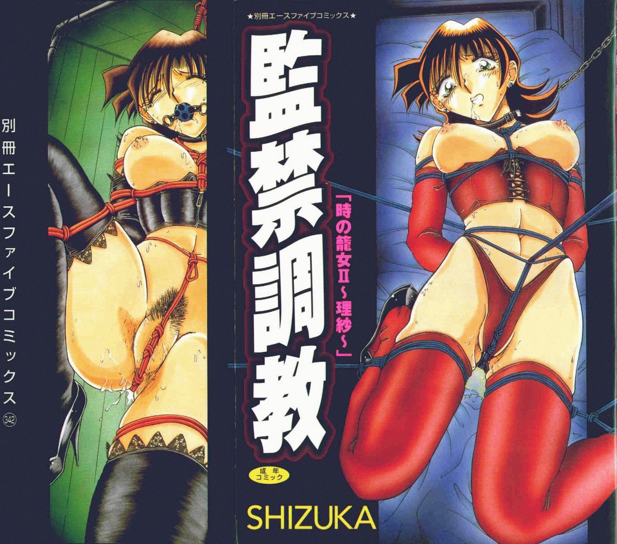 Kankin Choukyou - Toki no Kagome II ~Risa~ page 1 full