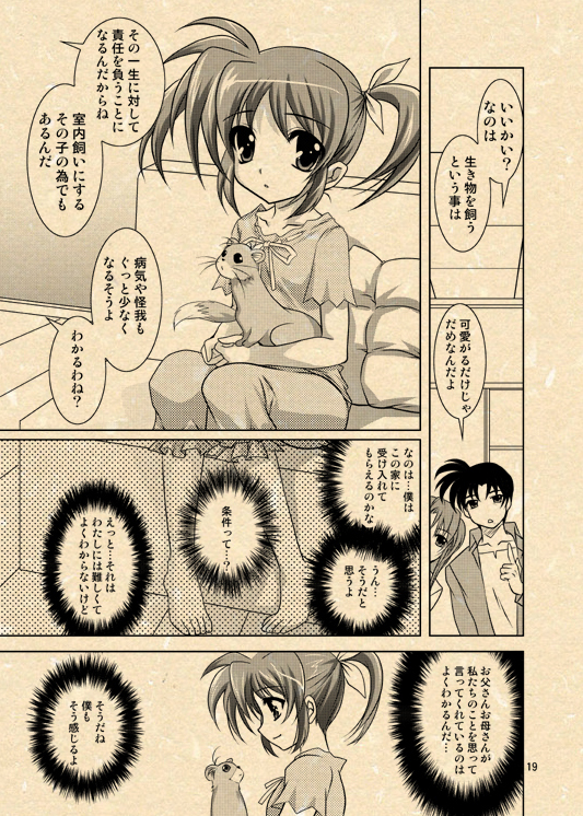 Yuuno X Nanoha Manga Nirenpatsu page 2 full
