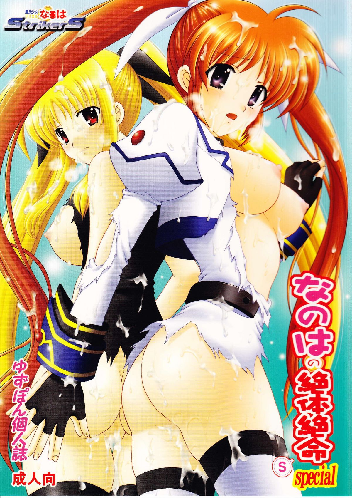 Nanoha no Zettai Zetsumei S Special page 1 full