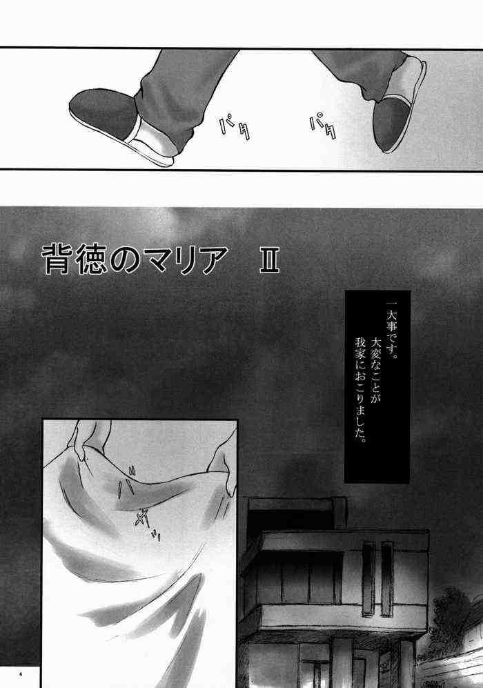 Maria Gunsou ga Miteru page 3 full