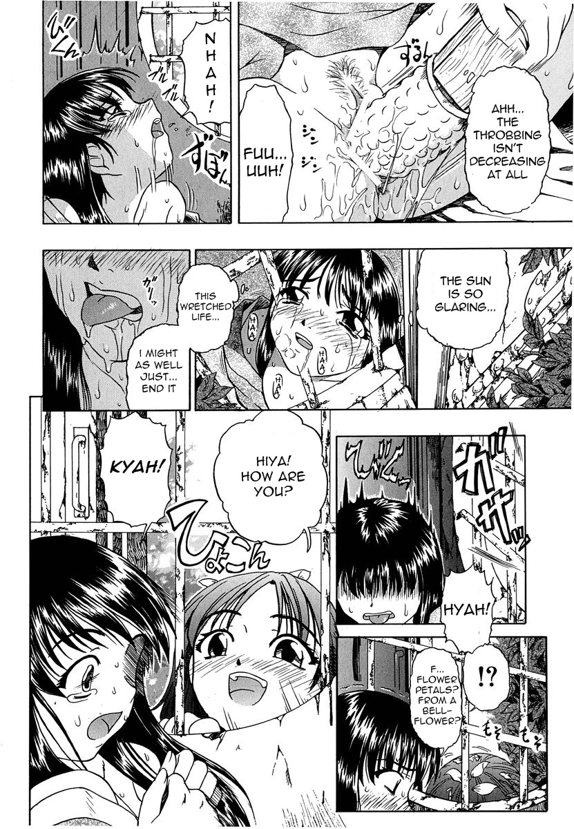 Flower Petals page 8 full