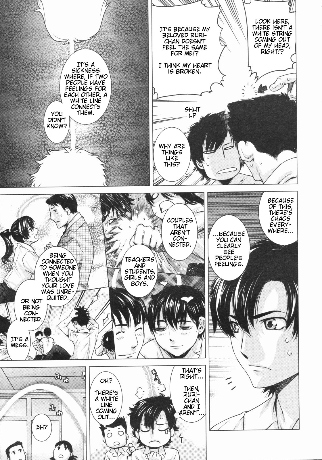 Euryops Daisy page 3 full