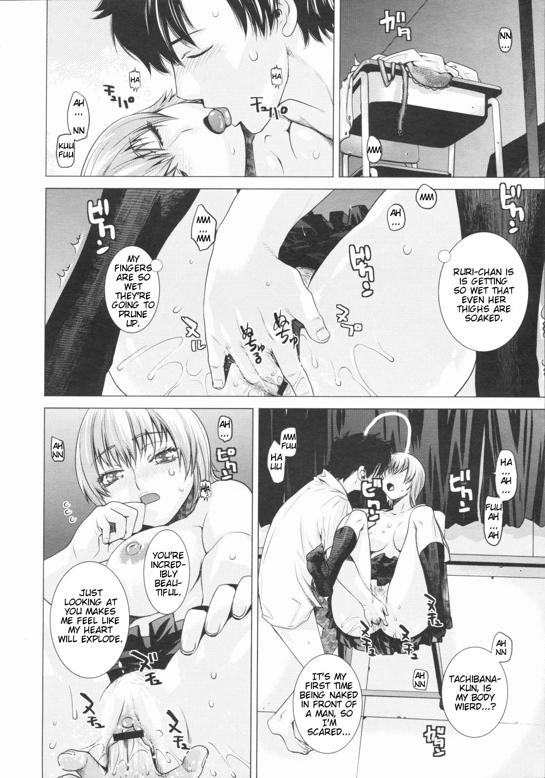 Euryops Daisy page 8 full