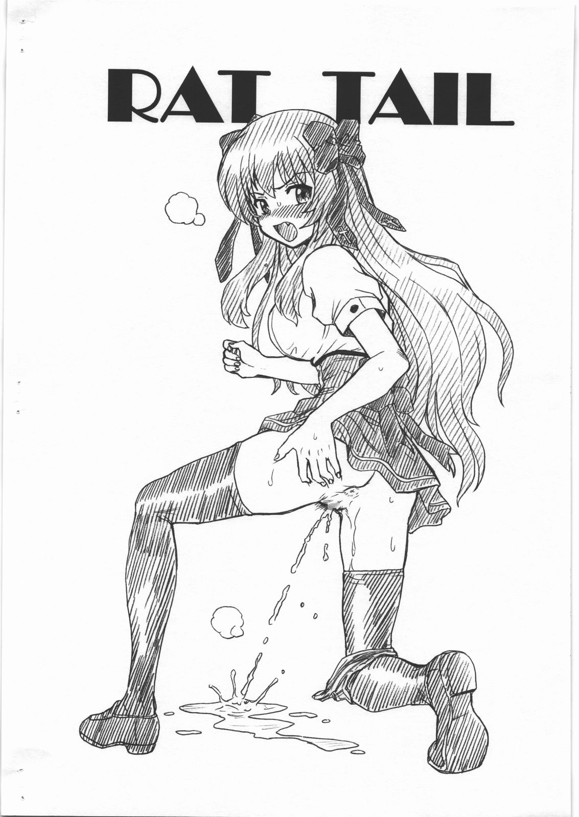 MAYOINEKO FILE Serizawa Fumino Gazoushuu page 10 full