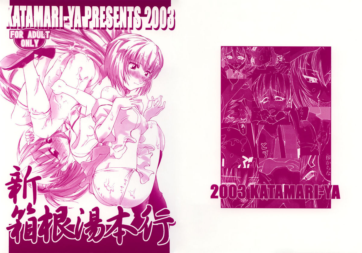 Shin Hakone Yumotoiki page 2 full