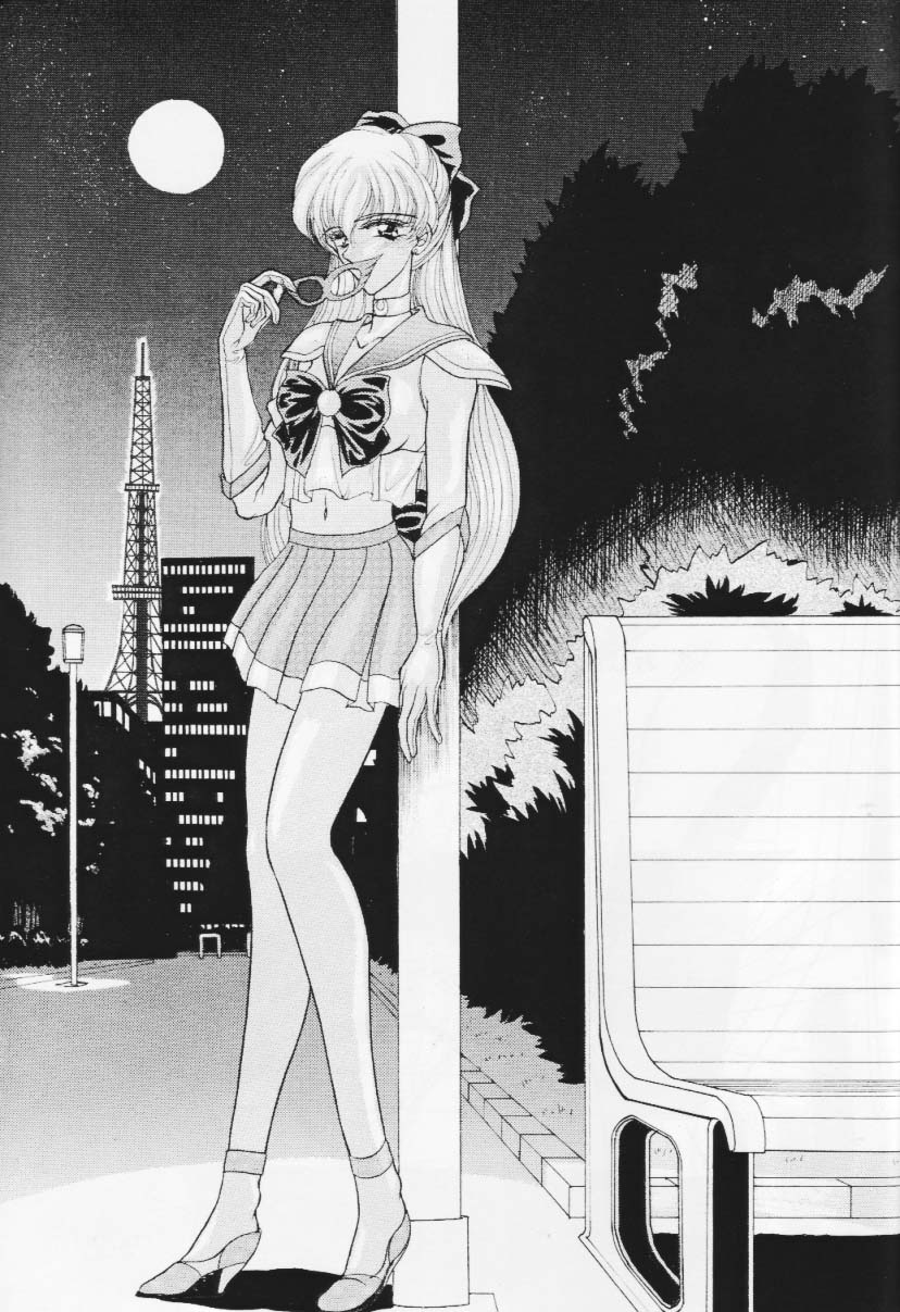 COLLECTION OF -SAILORMOON- ILLUSTRATIONS FOR ADULT Vol. 1 page 6 full