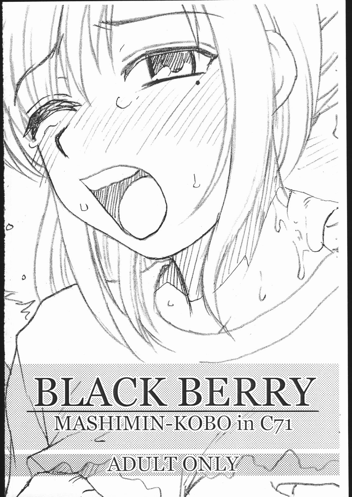 BLACK BERRY page 1 full