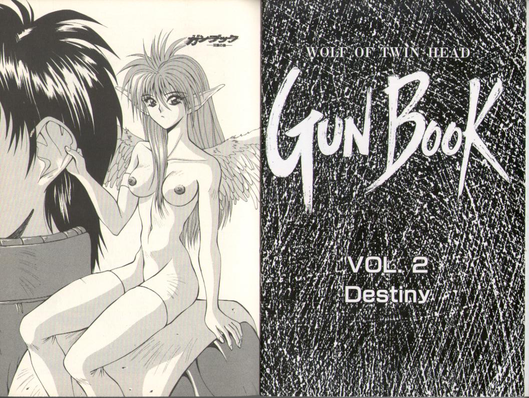 Gunbook -Soutou no Ookami- 2 - Destiny page 3 full