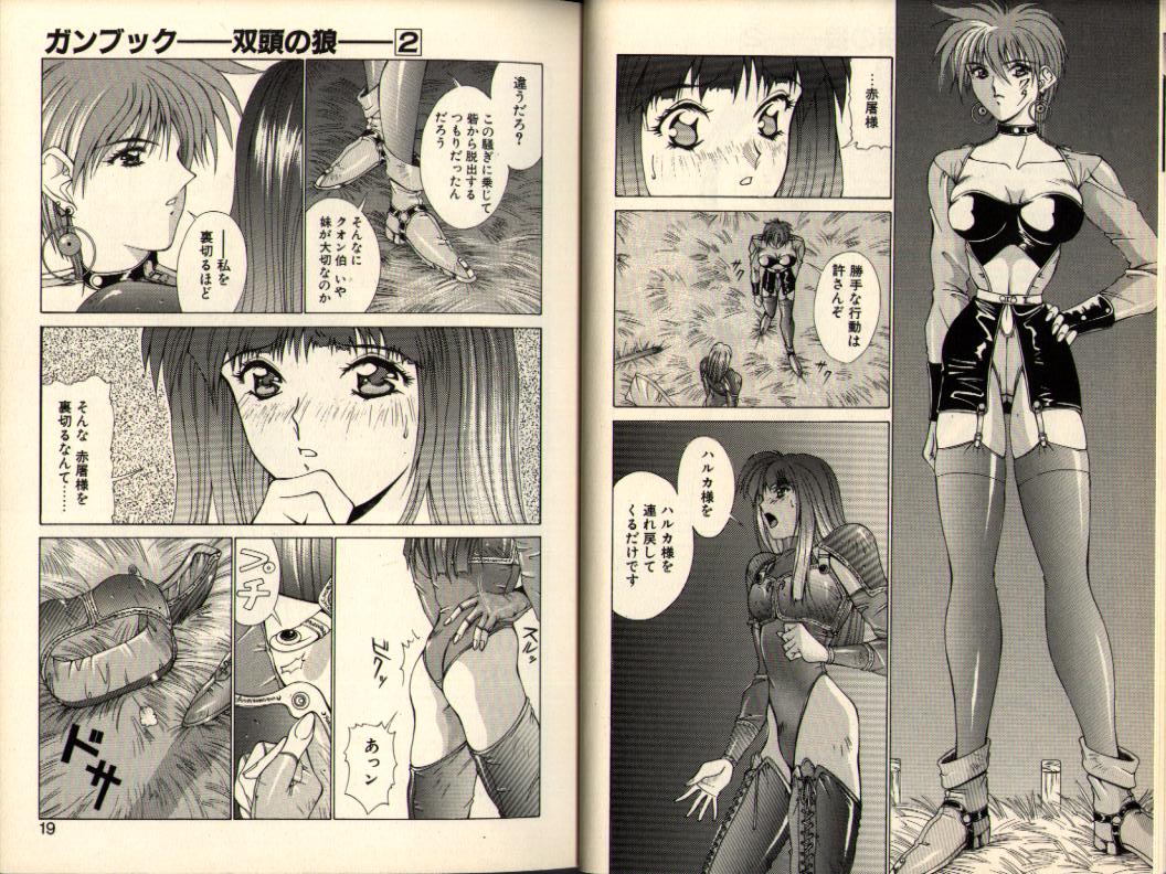 Gunbook -Soutou no Ookami- 2 - Destiny page 9 full