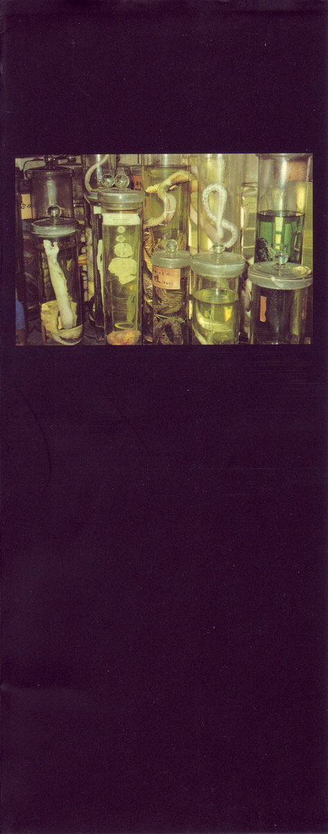 Tsuki Kurau Mushi page 5 full