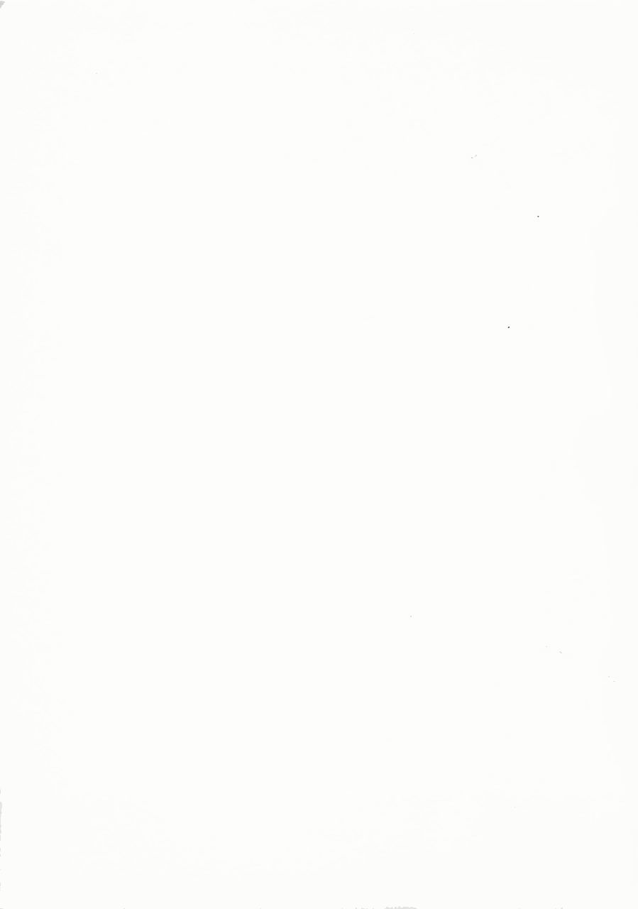 Kamen no Ryoujyoku page 4 full