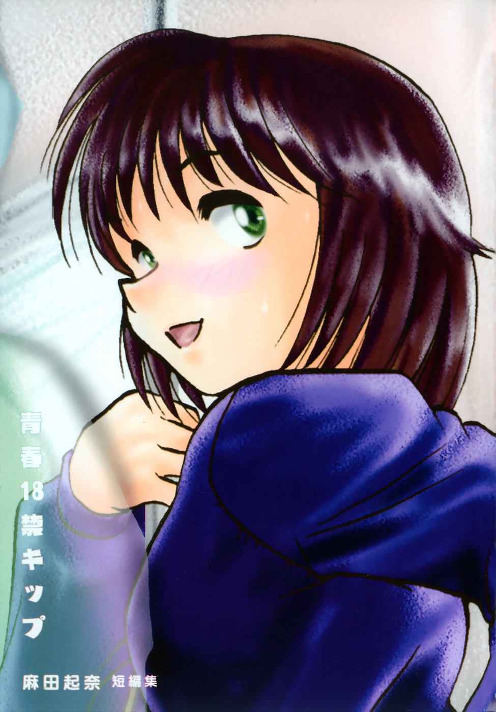 Seishun 18 Kin Kippu page 5 full