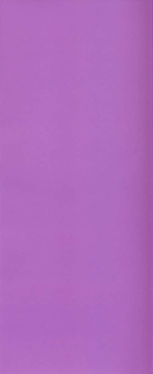 Kinshinkyoai page 4 full