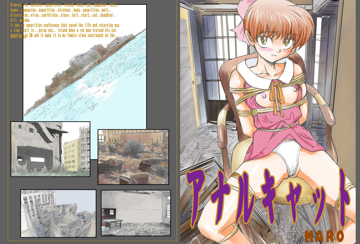 Anal Cat page 1 full