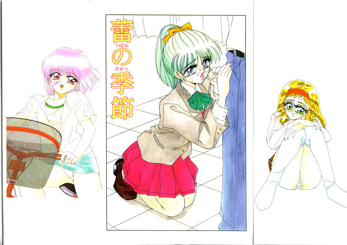 Tsubomi no Kisetsu page 2 full