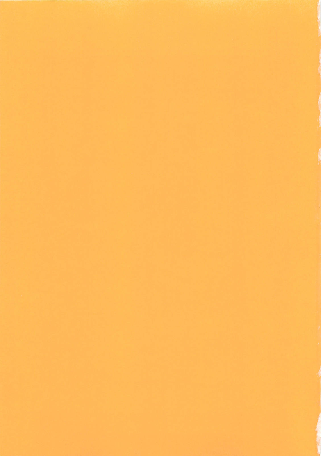 Konya wa Dorei DE Night page 4 full