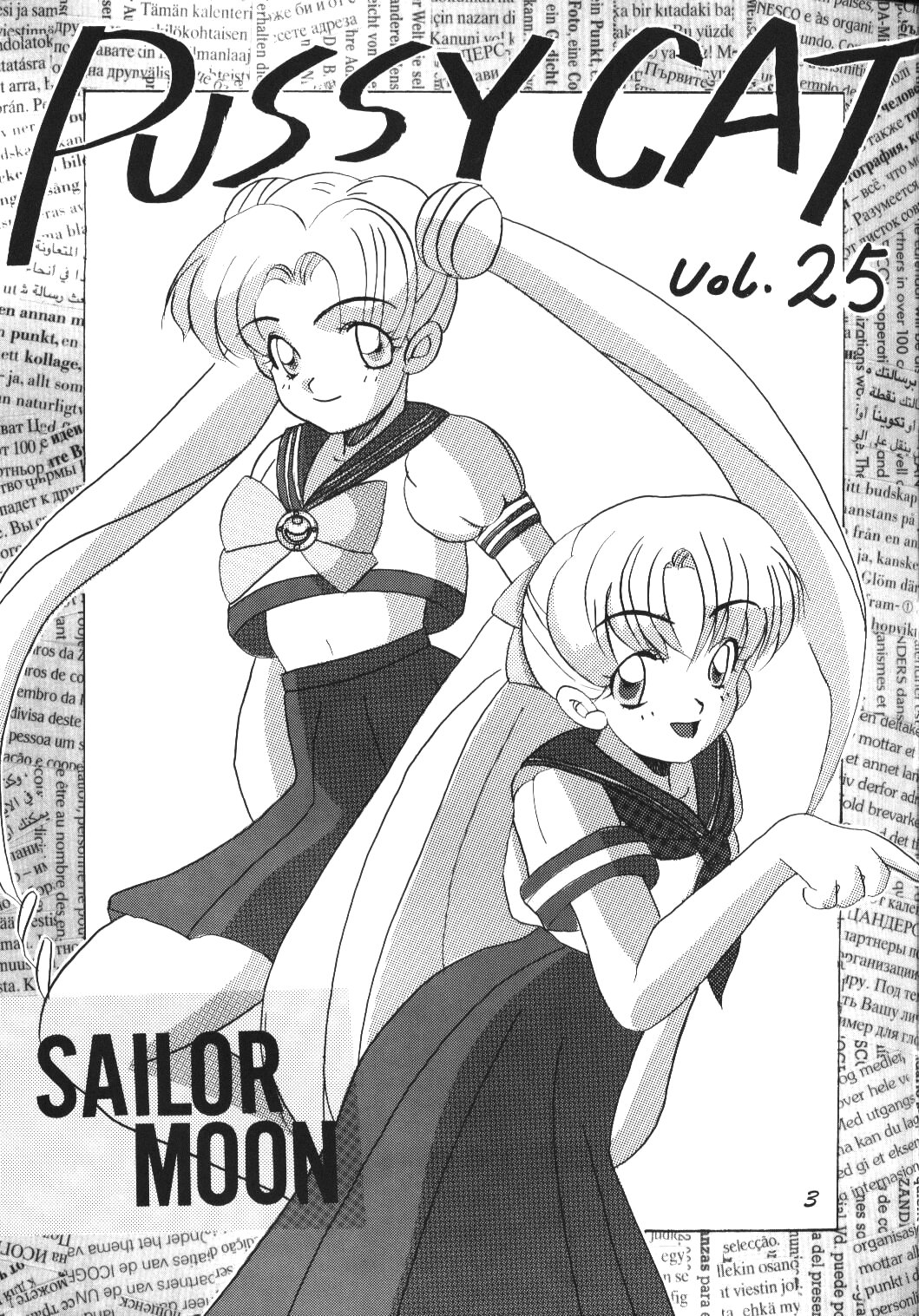 Pussy-Cat Vol. 25 Sailor Moon 2 page 2 full