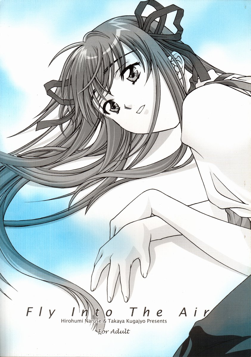 Fly Into The Air page 1 full