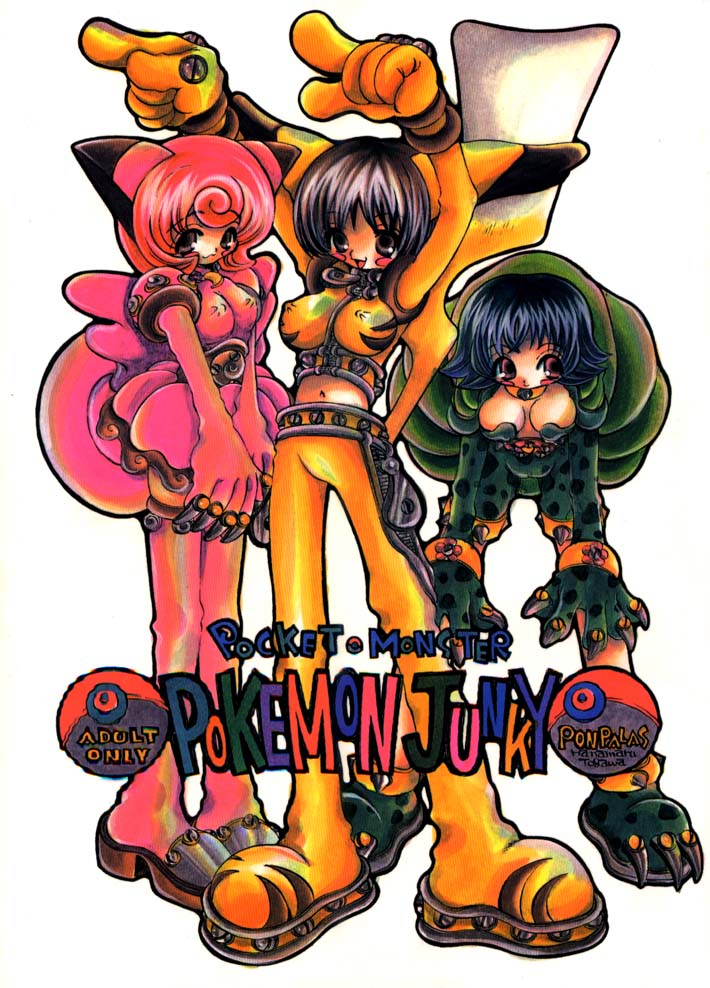 Pokemon Junky page 1 full