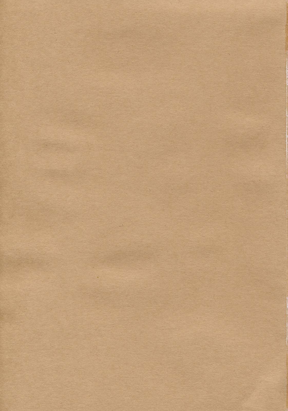 Tenimuhou Gaiden page 2 full