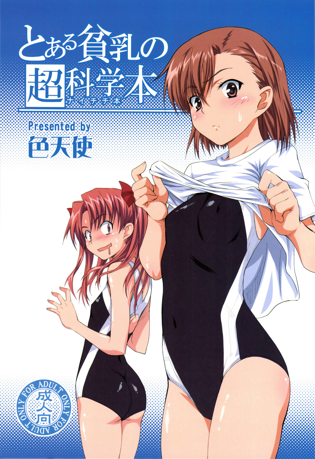 Toaru Hinnyuu no Naichichi Hon | A certain flat-chested Railgun book page 1 full