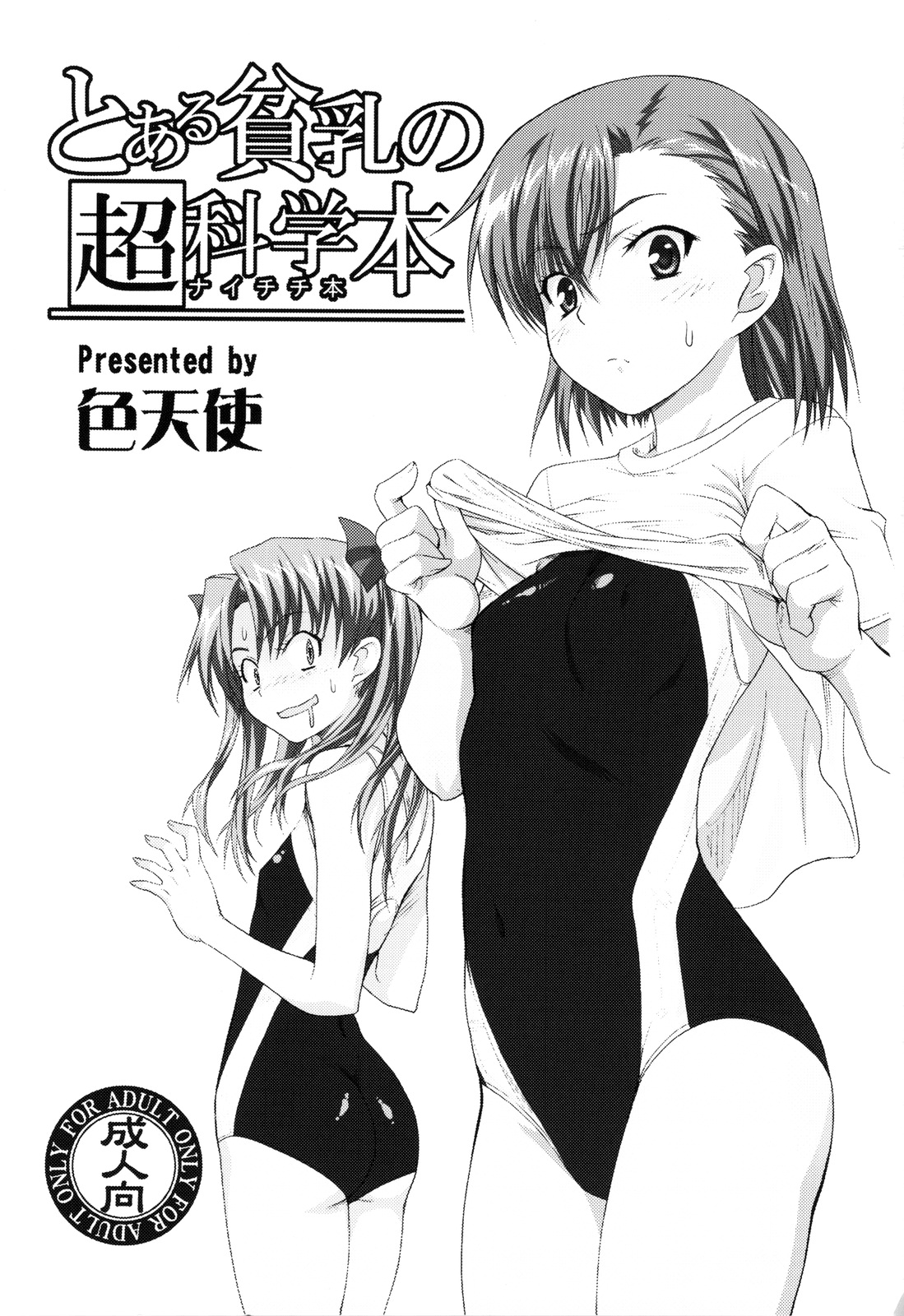Toaru Hinnyuu no Naichichi Hon | A certain flat-chested Railgun book page 3 full