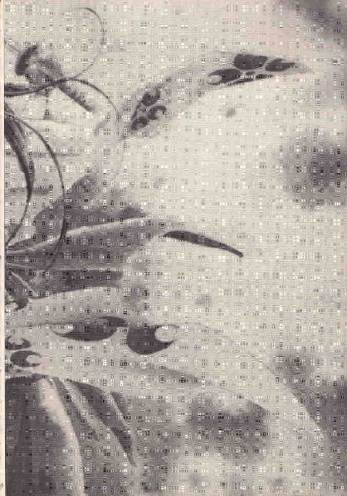 Shoujo A page 3 full