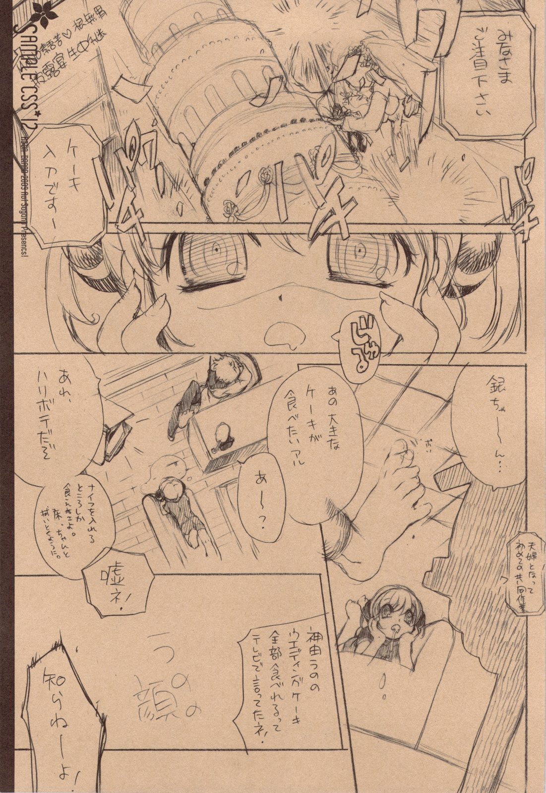 SAMPLE-CSS 12 page 7 full