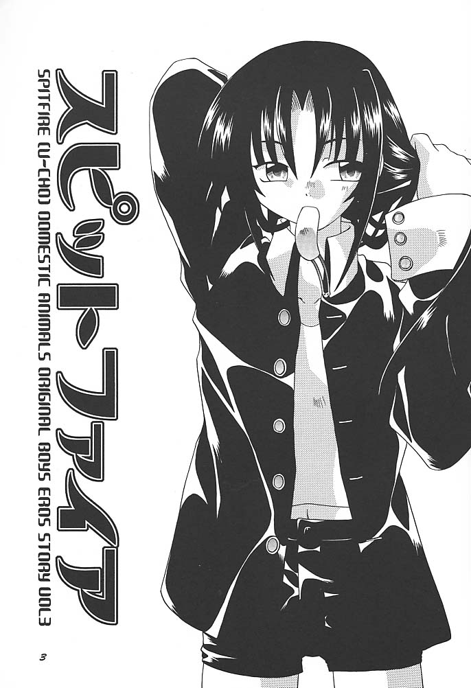 SpitFire 3 Higher Self page 2 full