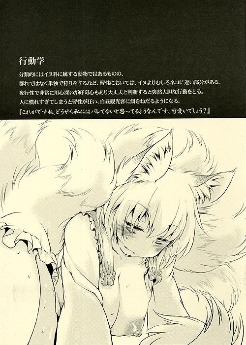 WILD ANIMALS page 3 full