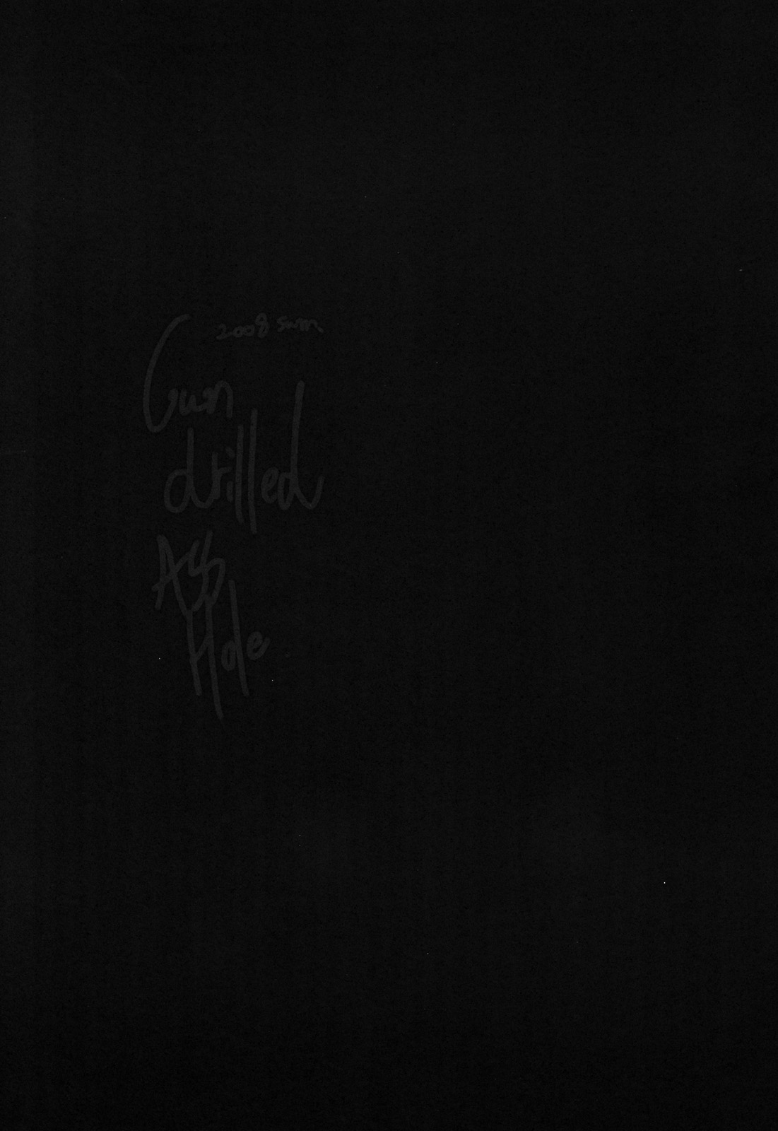 Gun Drilled Asshole page 2 full