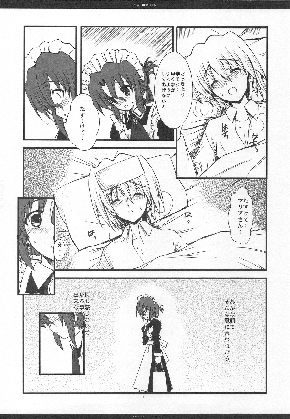 SLOE BERRY EX page 7 full