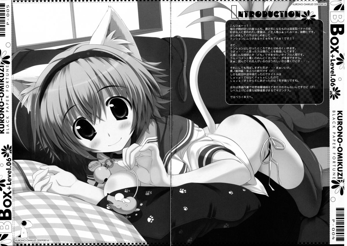 BBOX-Level.06 page 3 full