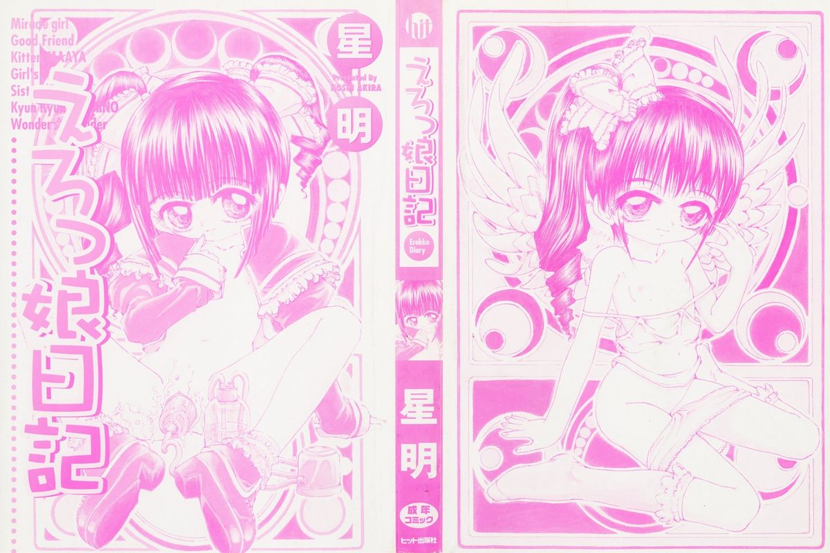 Erokko Diary page 2 full