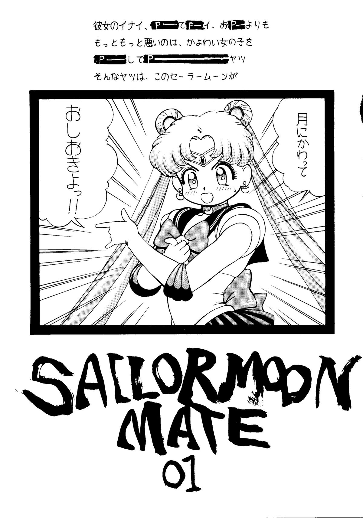Sailor Moon Mate Vol. 1 page 2 full