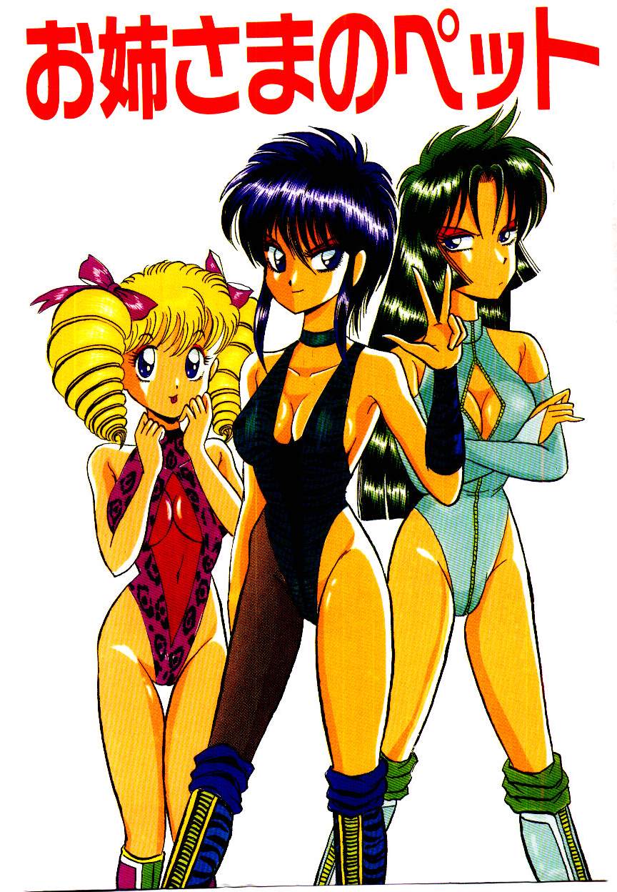 Onee-sama no Pet page 3 full